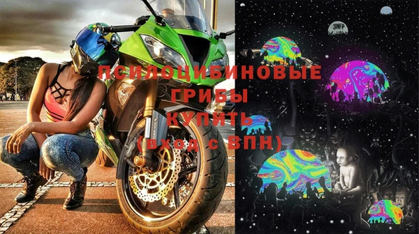 индика Лысьва