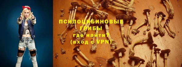 твердый Михайловка