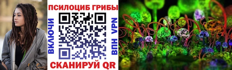 Псилоцибиновые грибы Psilocybe  Полевской 
