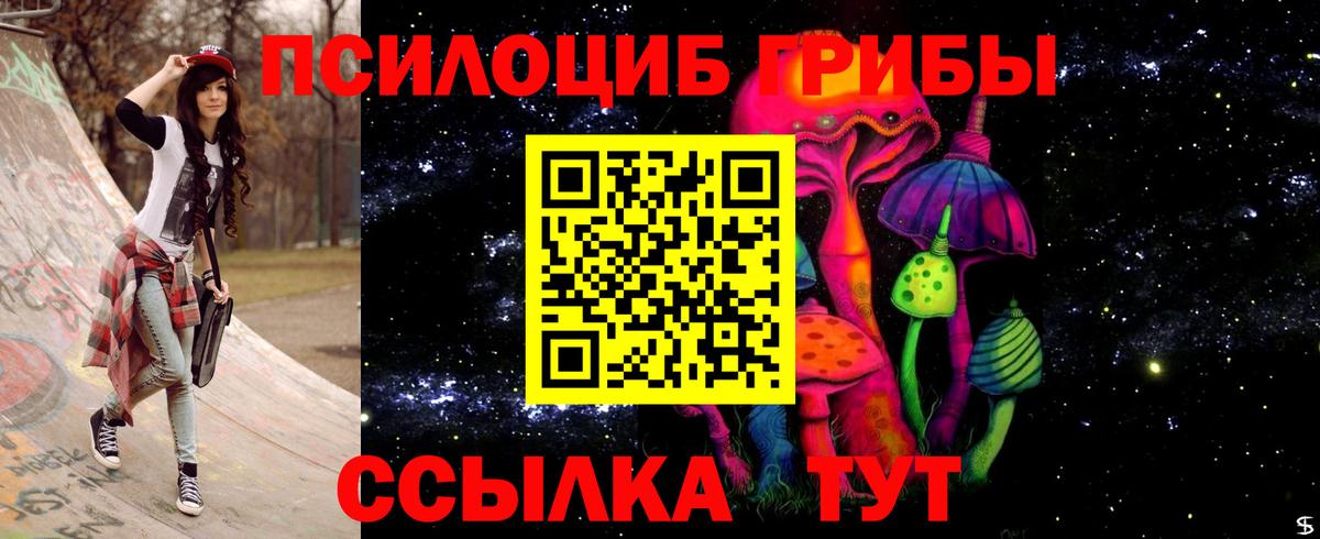 Псилоцибиновые грибы GOLDEN TEACHER  Вход с VPN  цены наркотик  Полевской 
