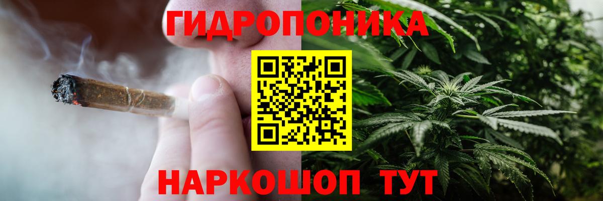 Каннабис план Полевской